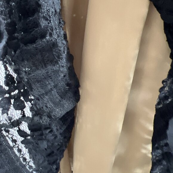 Max Studio Sheath Dress Small Black Nude Lace Stretch Ruffle V-Neck Whimsygoth - Picture 4 of 8